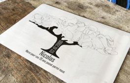 gravure co2 sur inox